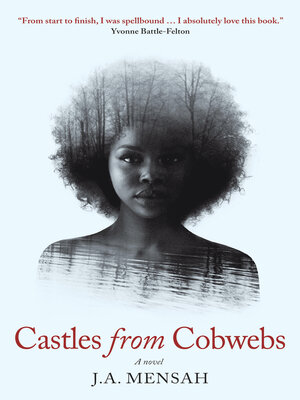 cover image of Castles from Cobwebs
